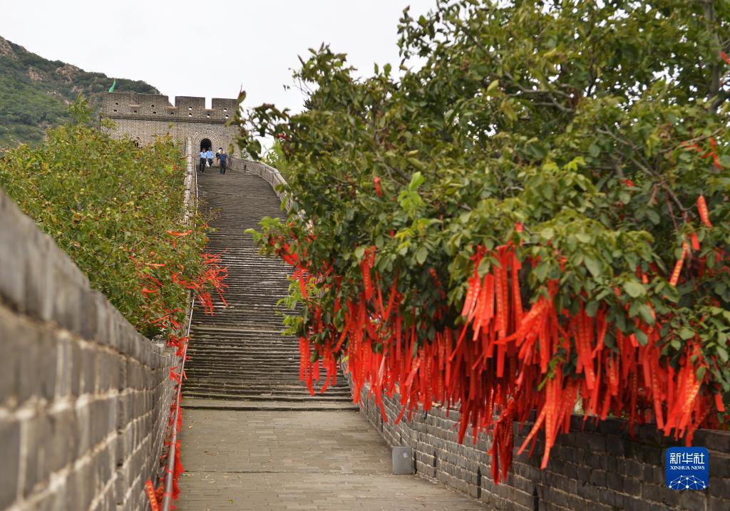 白菜送彩金大全免费