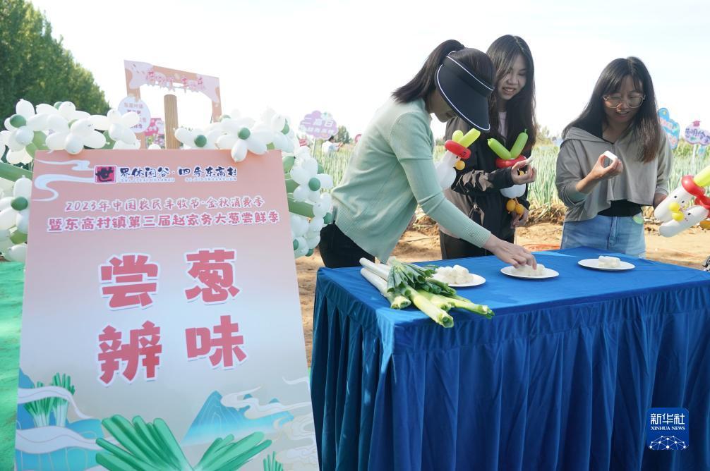 大奖网官方网站网址
